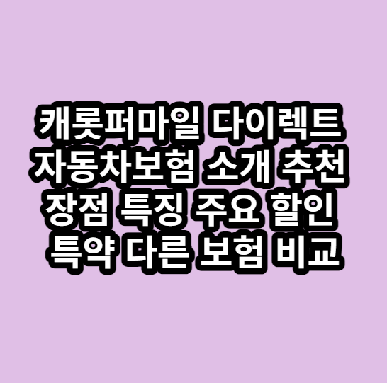 캐롯퍼마일다이렉트자동차보험