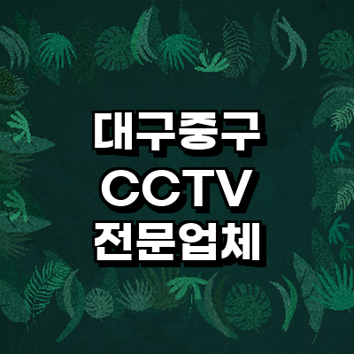 대구 중구 cctv