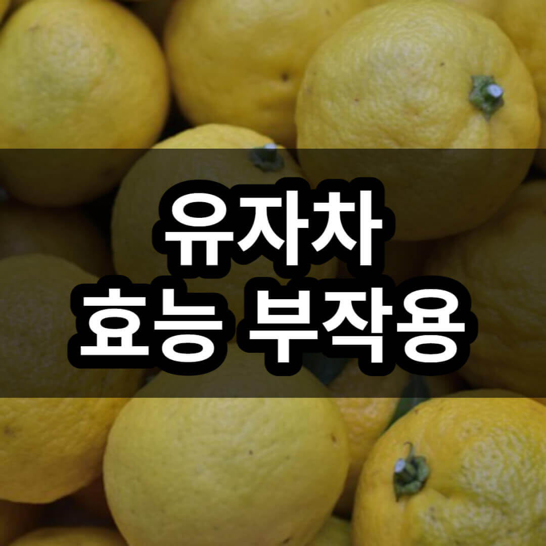 유자차 효능 부작용