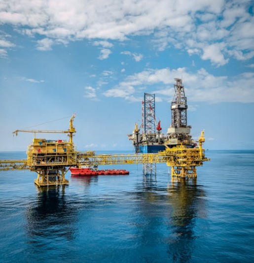 시추 성패 논란