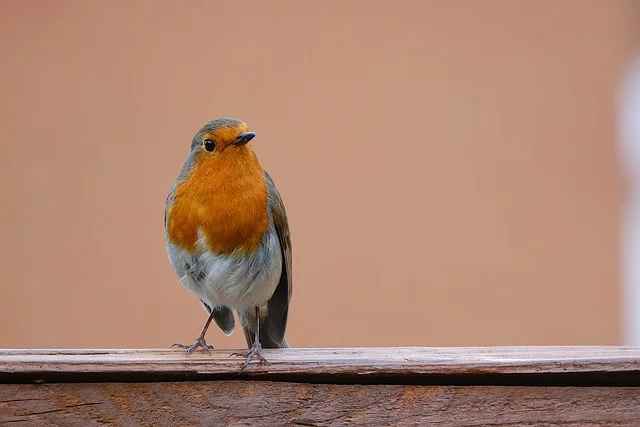 여성건강지원금