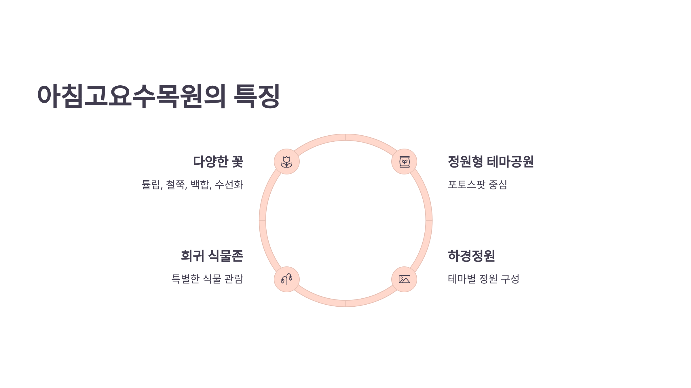 화담숲 모노레일 루트와 아침고요 정원 산책로 비교 이미지