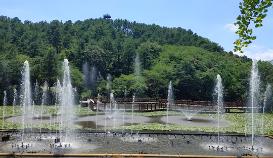 청남대