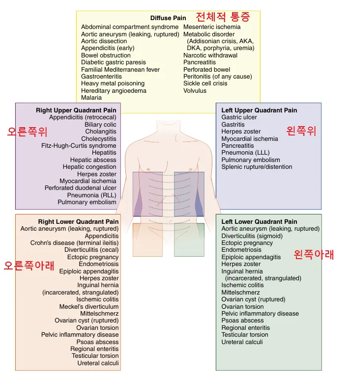 배를 콕콕 찌르는 통증의 8가지 원인 하는법 알아보기로 정리_6