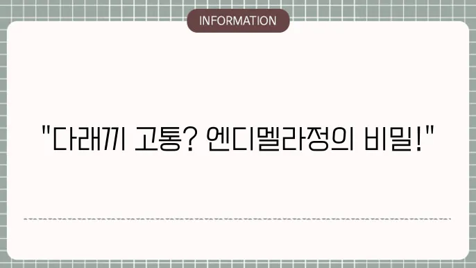 약국 다래끼야 엔디멜라정 후기, 다래끼 원인 치료