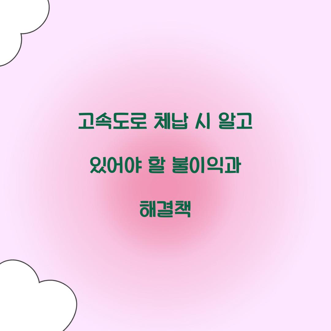 고속도로 체납