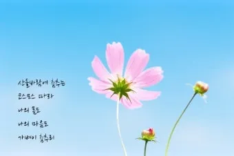 가을 시 모음 5편 추천 선별_4