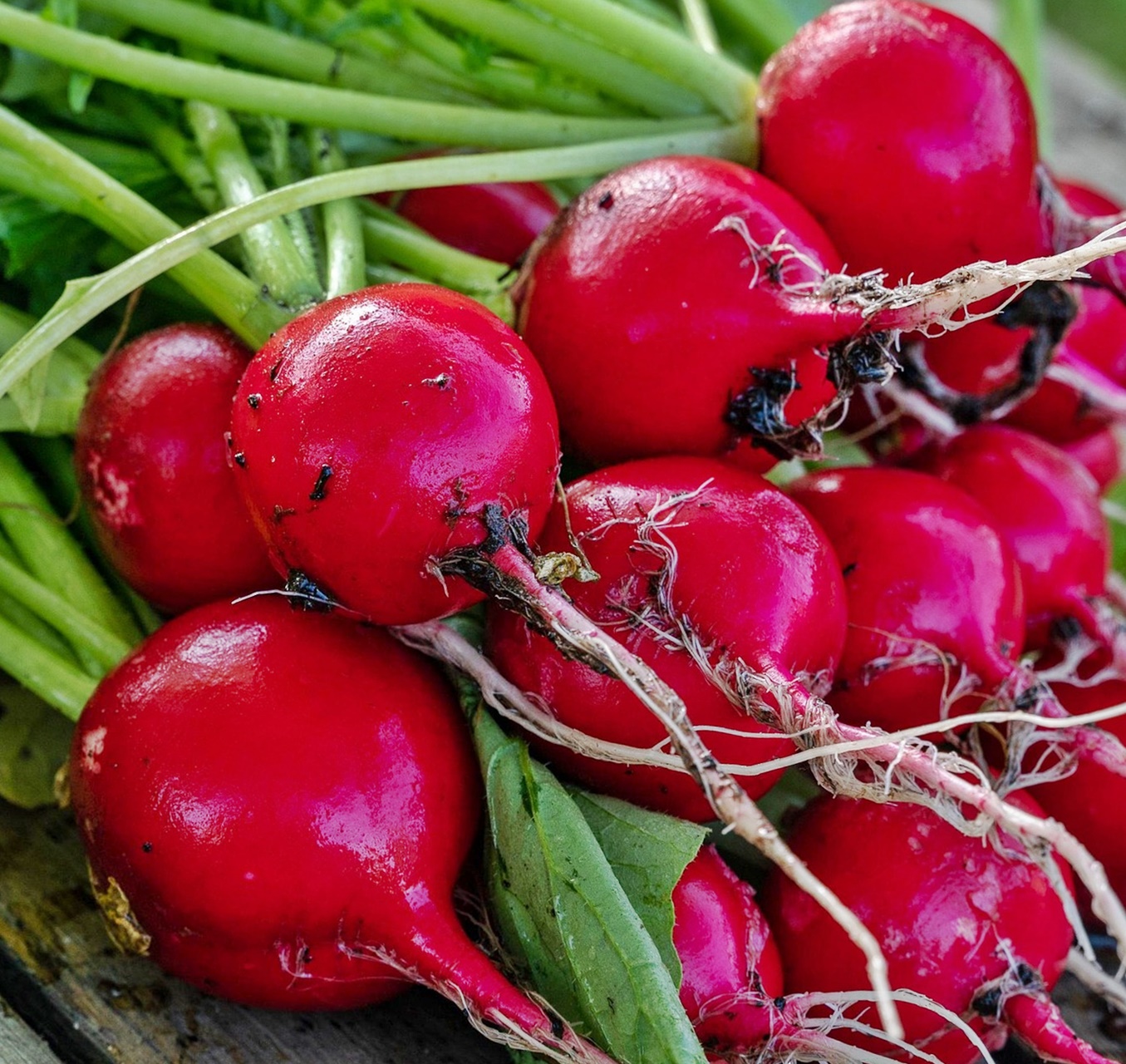 혈당 관리 영양제 추천, 알파리포산&middot;크롬 등 꼭 챙겨야 하는 이유!