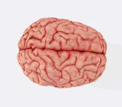 치매 진단 방법 치료 예방 가이드