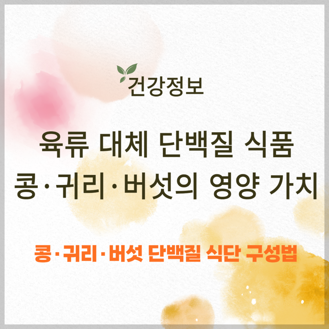 육류 대체 단백질 식품 ❘ 콩&middot;귀리&middot;버섯의 영양 가치