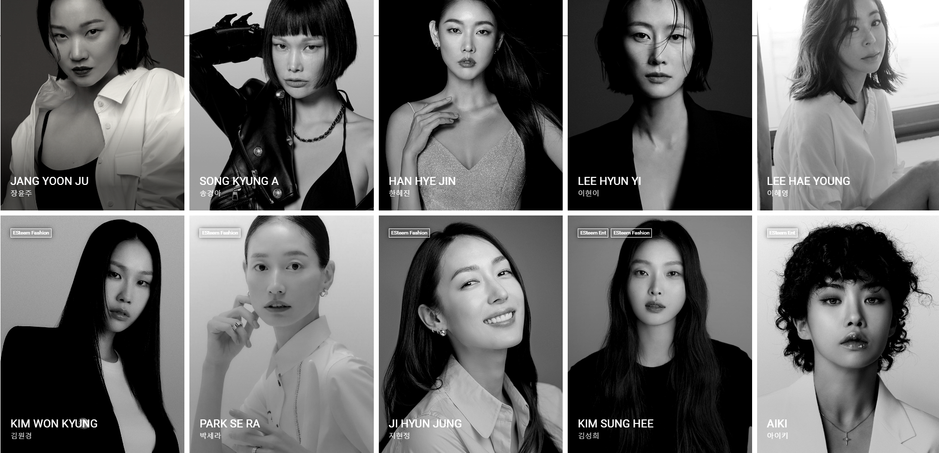 에스팀 아티스트