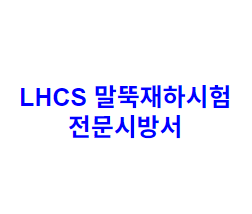 LHCS 말뚝재하시험 전문시방서
