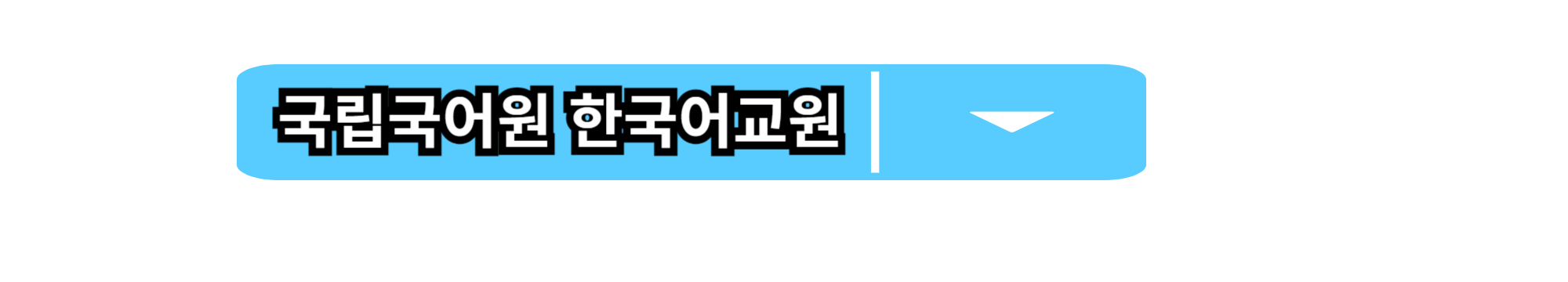 한국어지도사 자격증 - 취득 방법부터 전망까지