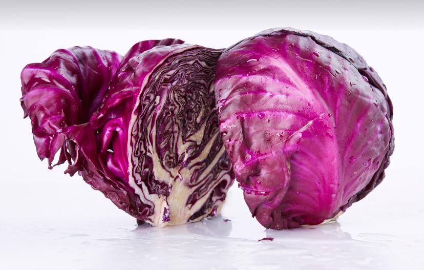 적채의 모습