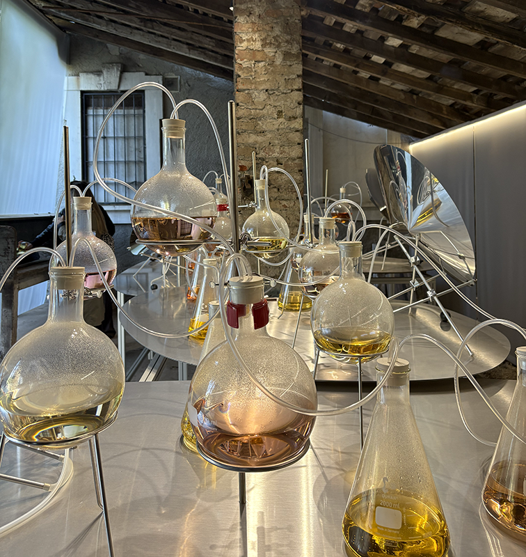 MBTI별 향기블렌딩