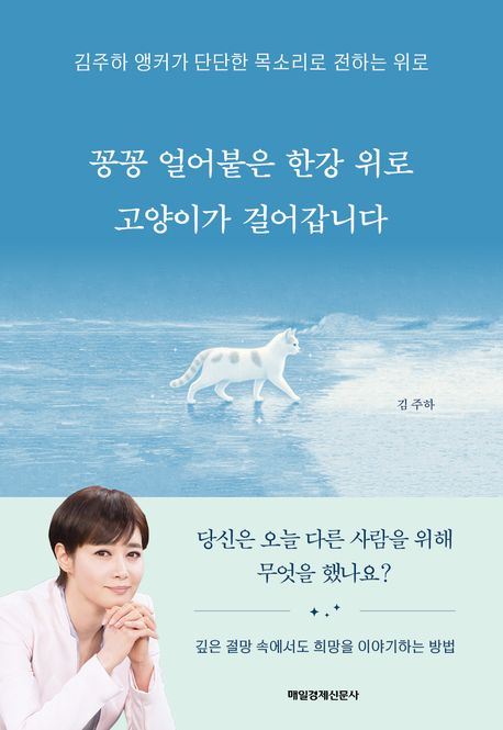꽁꽁 얼어붙은 한강 위로 고양이가 걸어갑니다 김주하앵커 에세이