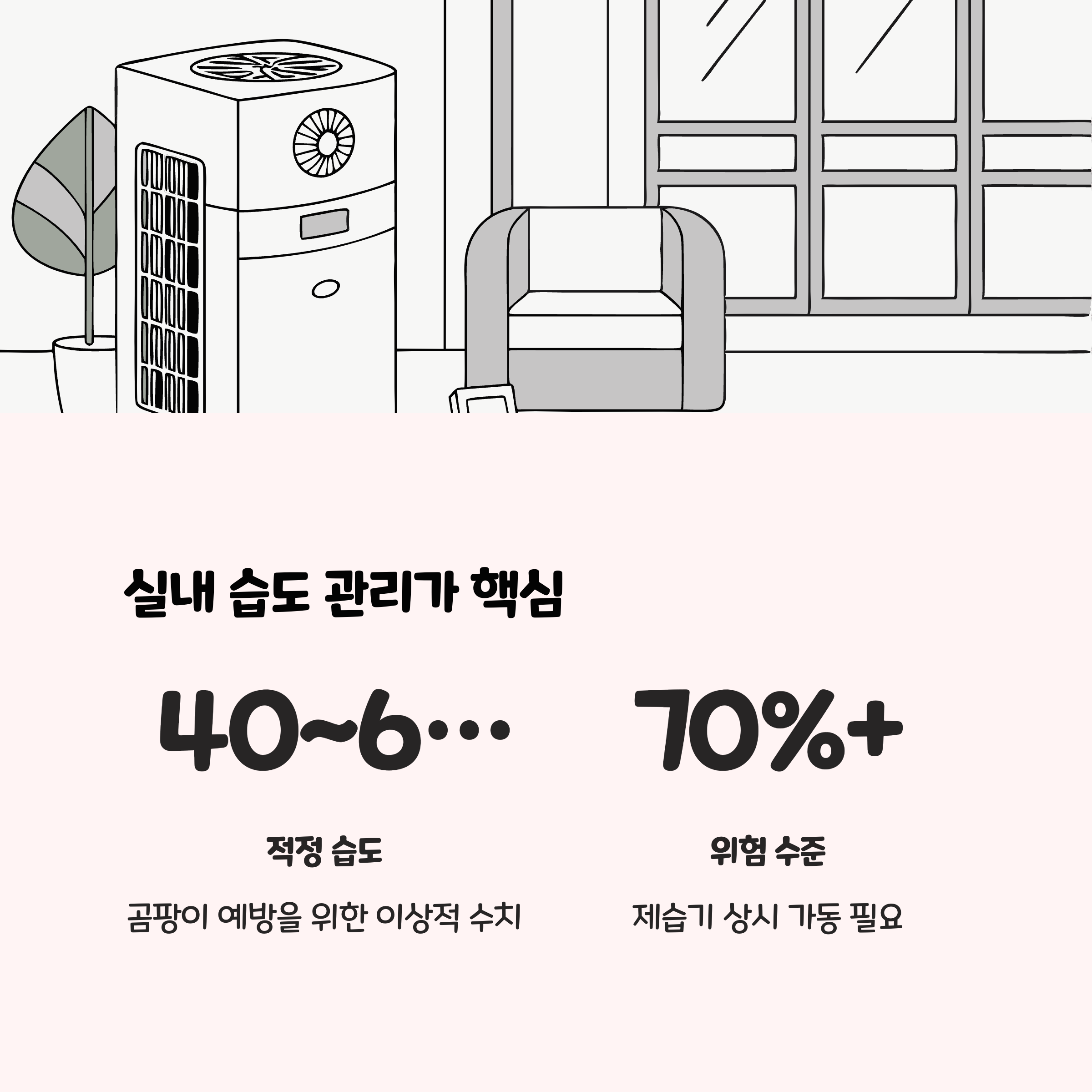 실내 습도 관리법: 제습기와 에어컨 활용