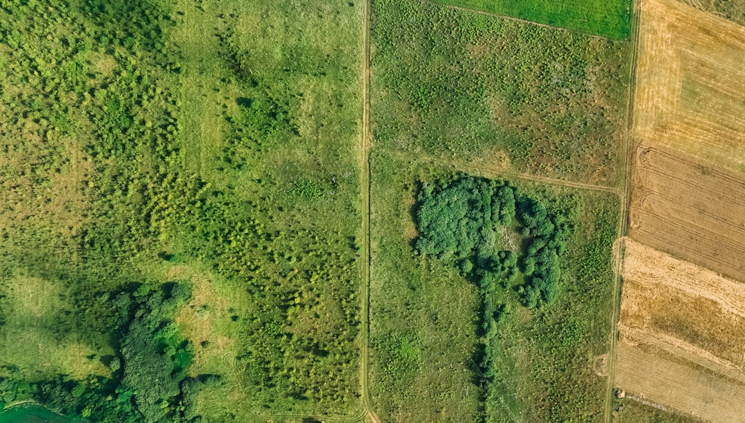 Land Registry