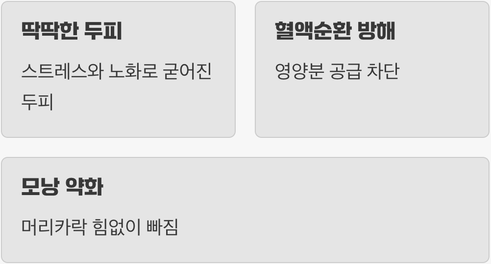 굳어버린 땅에는 씨앗이 자랄 수 없어요
