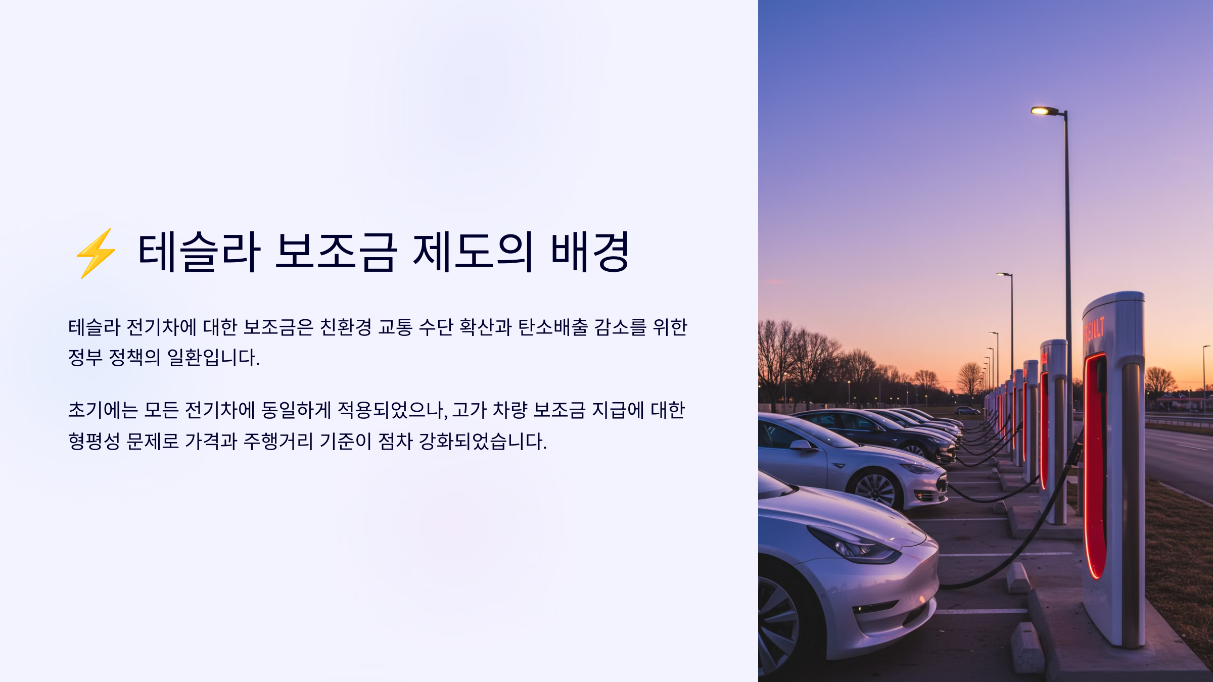⚡ 테슬라 보조금 제도의 배경