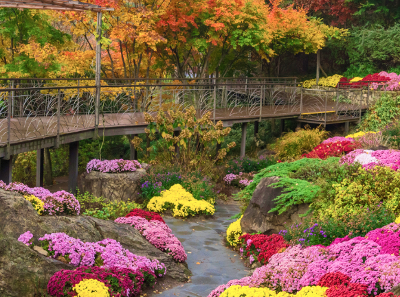 화담숲 홈페이지 화담숲 사진촬영 명소