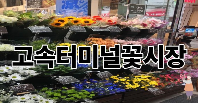 고속터미널꽃시장