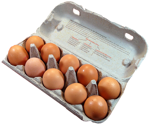 두뇌 피로 풀리는 음식 TOP 10