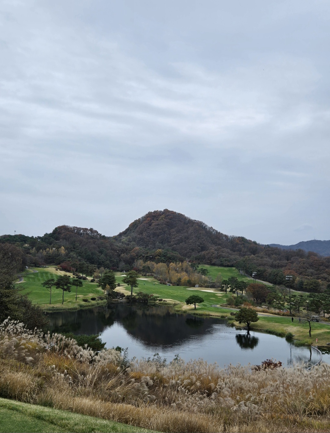 단풍과 갈대가 어우러진 코스