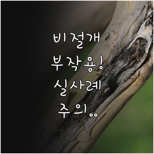 비절개 모발이식 부작용 실제 사례와 ..