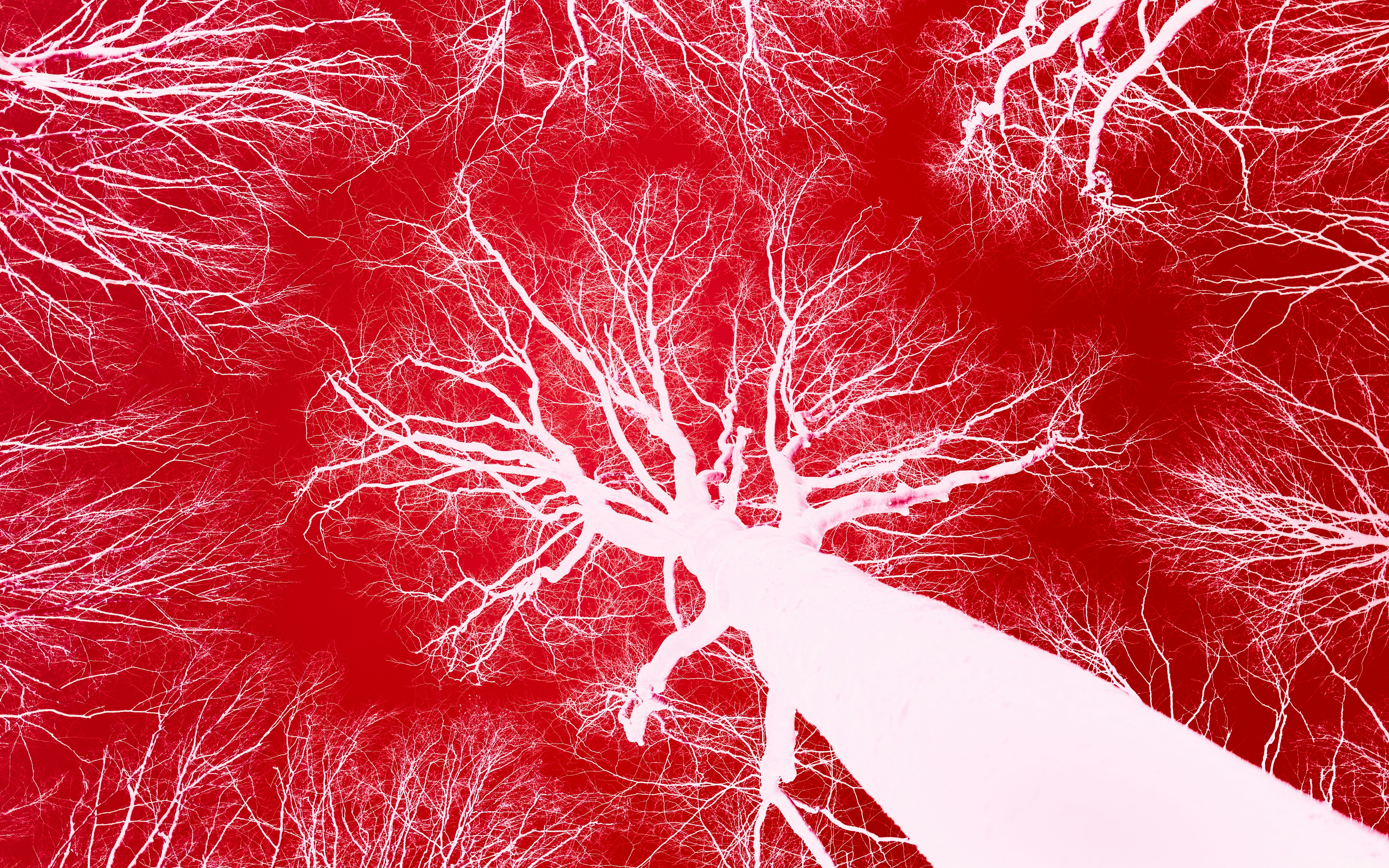 막힌 혈관 시원하게 뚫는 &amp;#39;혈관 청소 주스