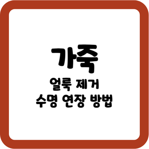 가죽 제품 얼룩 제거 방법