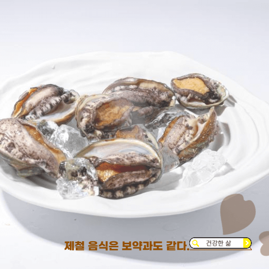 11월 제철 해산물