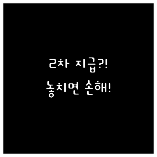 민생회복 소비쿠폰 2차 지급 가능성 ..