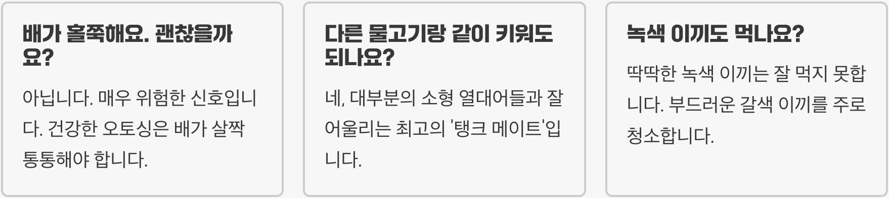 오토싱물고기 키우기 A to Z (어항, 먹이, 수질 관리)