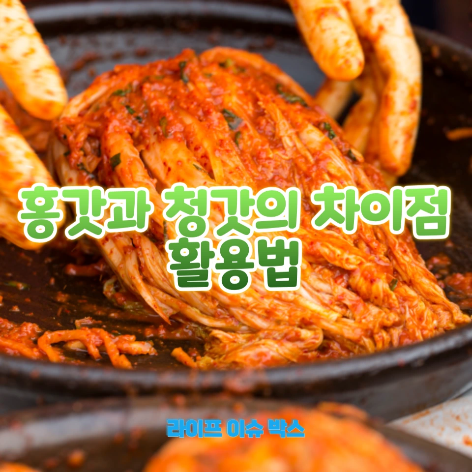 홍갓과 청갓의 차이점과 활용법