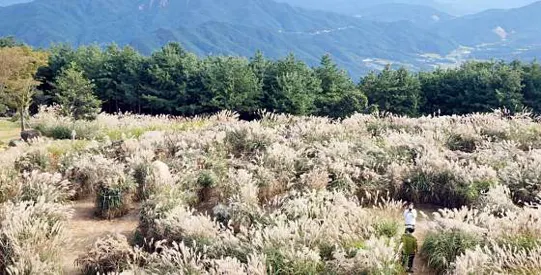 거창별바람언덕