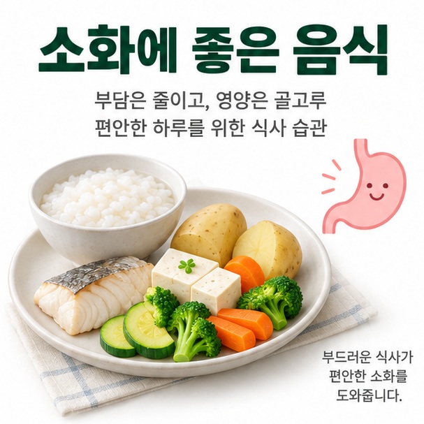 소화에 좋은 음식이라는 제목과 밥, 감자, 두부, 생선, 익힌 채소를 균형 있게 표현한 대표 이미지