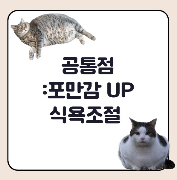 위고비, 마운자로, 삭센다 차이 및 비교