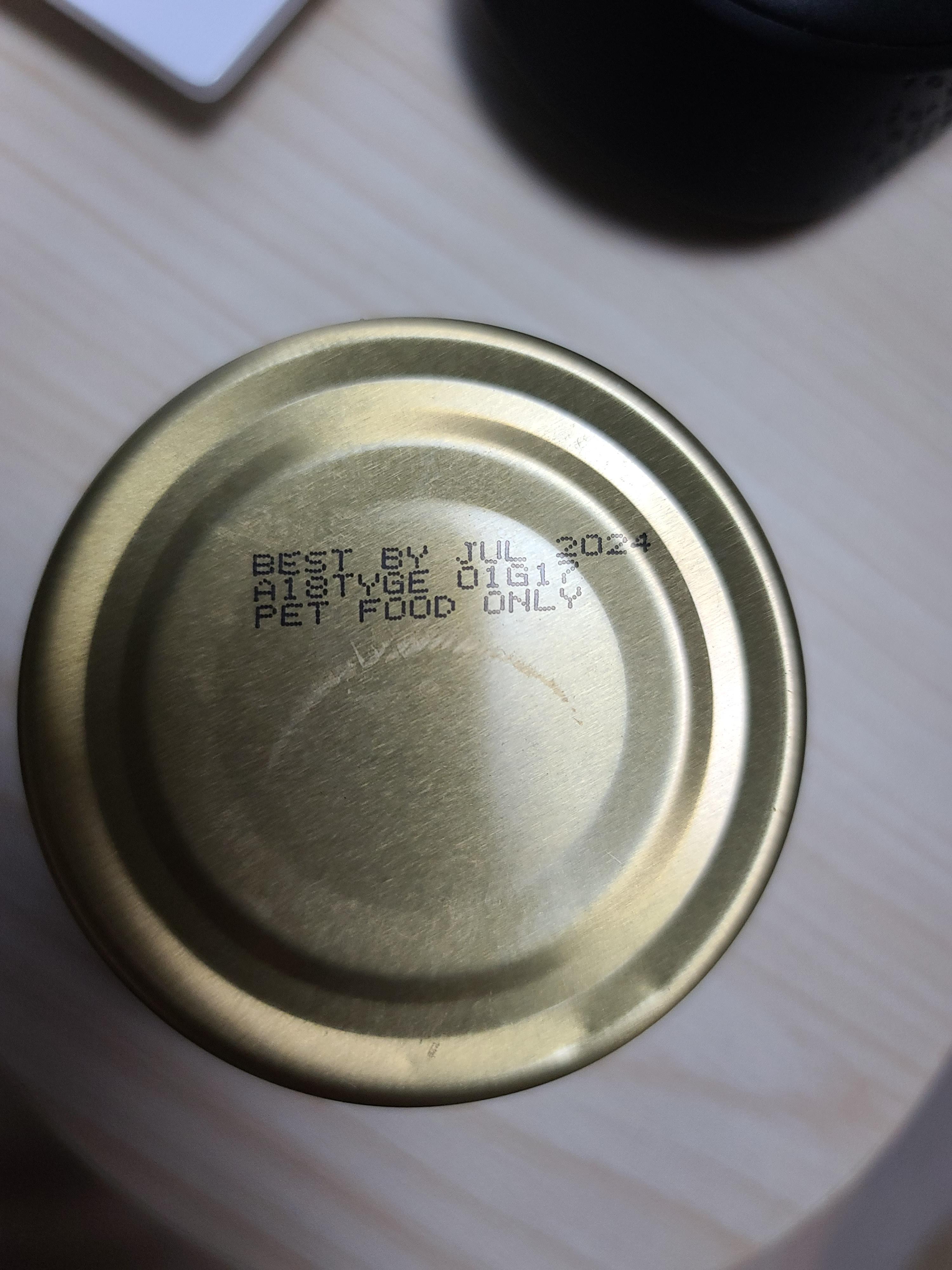 다다와의 전쟁이 끝났드아!! 사료 안먹는 고양이.