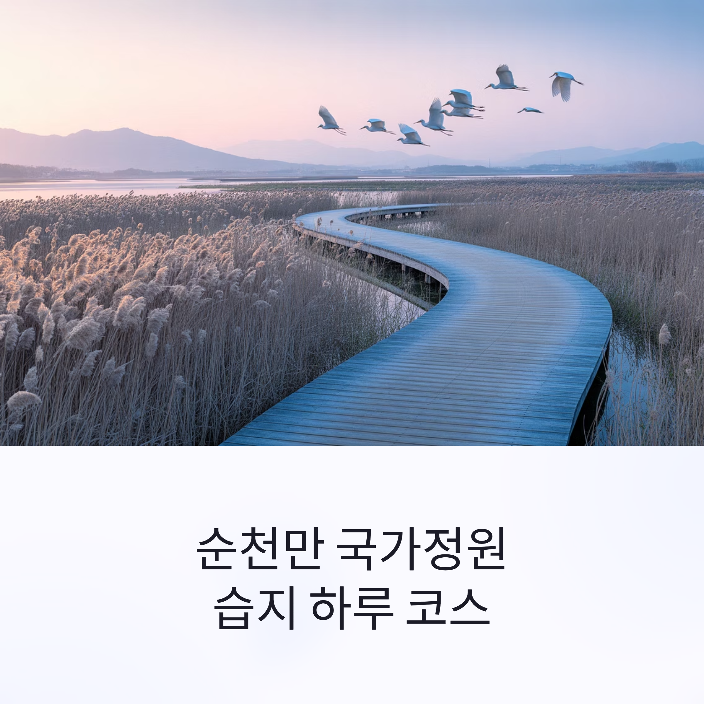 순천만습지