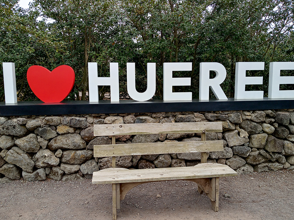 휴애리 수국 축제