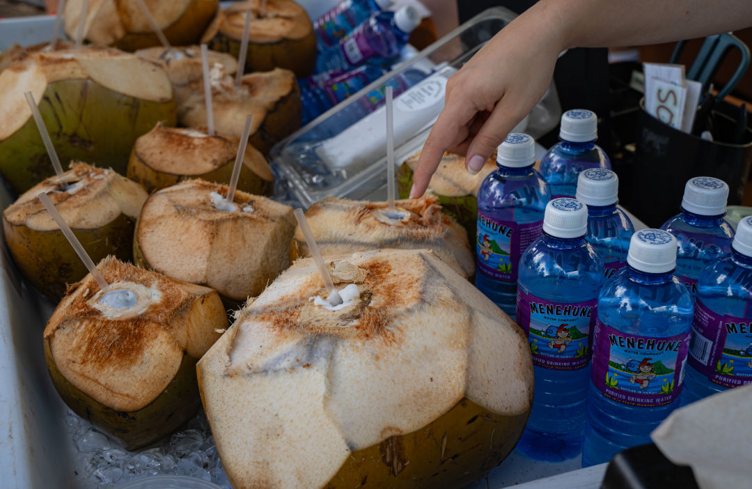 하와이 KCC 파머스 마켓 야자수