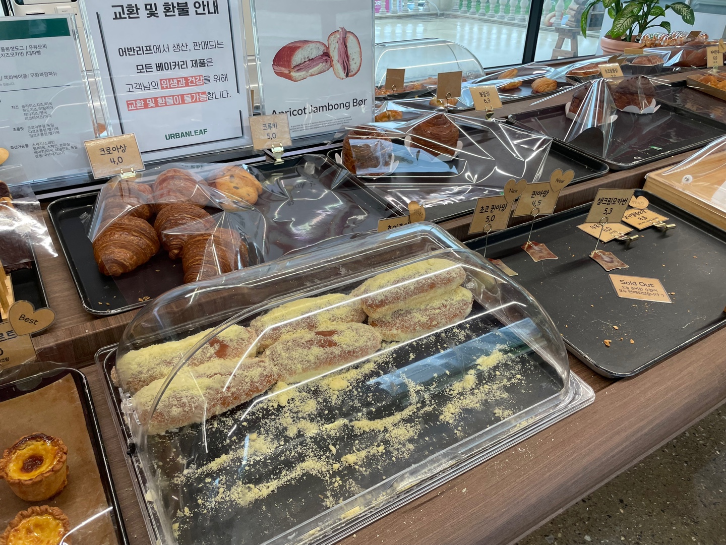 용인 식물원 베이커리 카페 어반리프