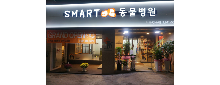 서울 성북구 동물병원