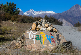 동백패스 환급금 사용방법