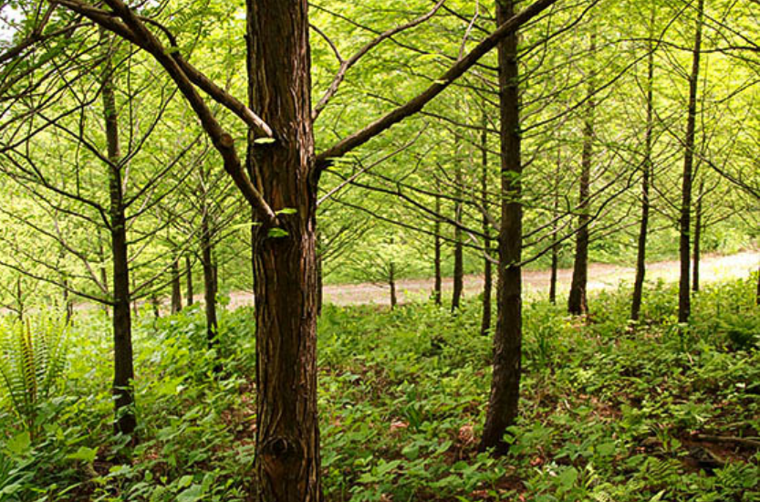 양평 가볼만한곳 베스트10