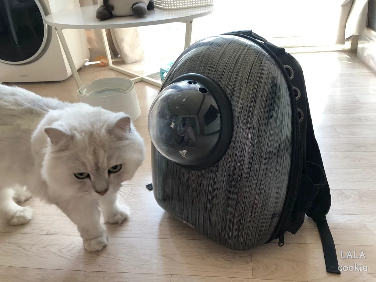 고양이-이동장-추천-백팩형-이동장-정면