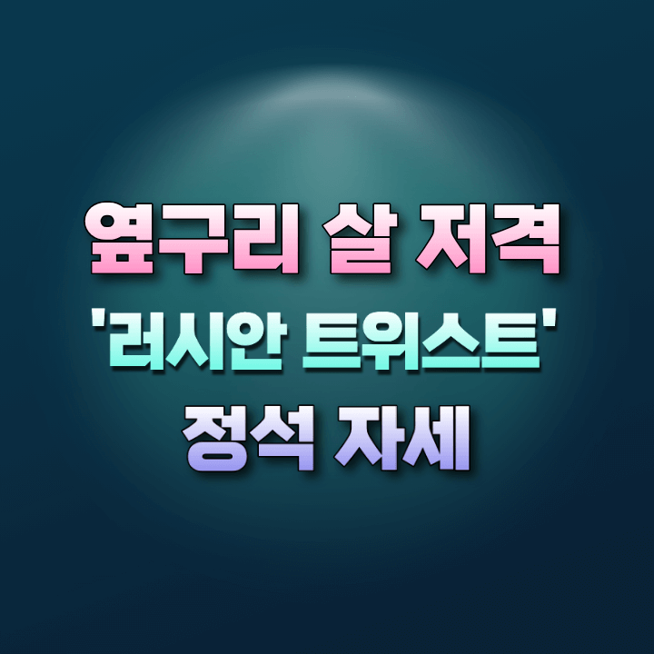 러시안트위스트정석자세