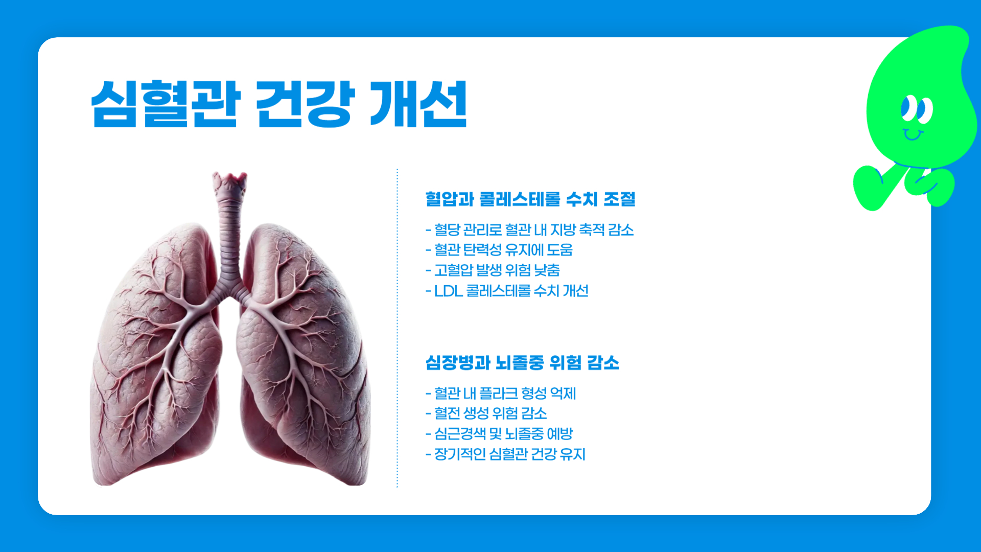 혈당 관리 효과 장기적인 건강 개선