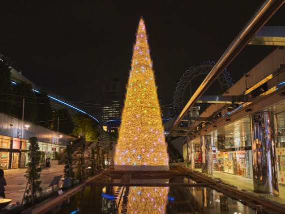 조명으로 만든 트리가 거리 한 가운데에 있다.